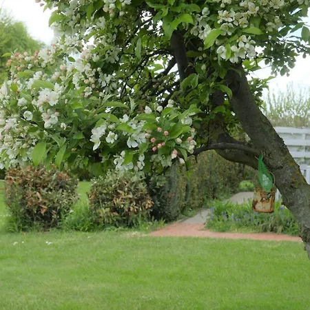 Mantuja Ii Apartmán *