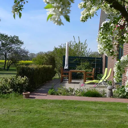 Apartmán Mantuja Ii *